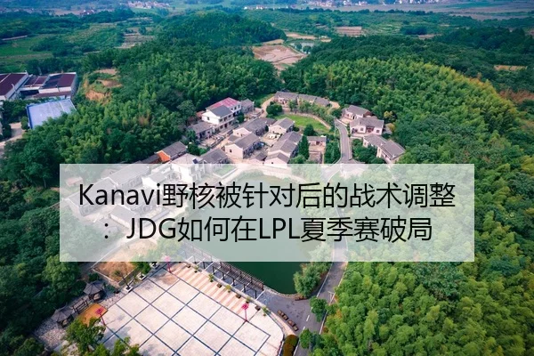 Kanavi野核被针对后的战术调整：JDG如何在LPL夏季赛破局