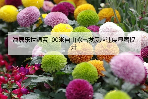 潘展乐世锦赛100米自由泳出发反应速度显著提升