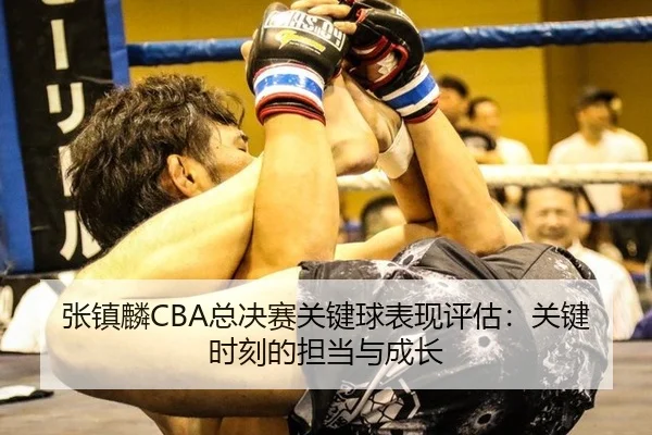 张镇麟CBA总决赛关键球表现评估：关键时刻的担当与成长