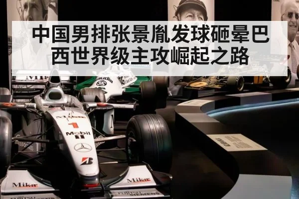 中国男排张景胤发球砸晕巴西世界级主攻崛起之路