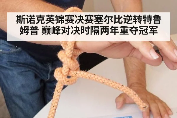 斯诺克英锦赛决赛塞尔比逆转特鲁姆普 巅峰对决时隔两年重夺冠军