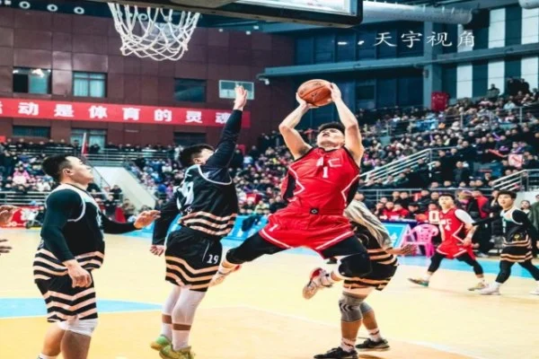 比利简金杯决赛中国对意大利郑钦文迎战保利尼关键对位看点分析